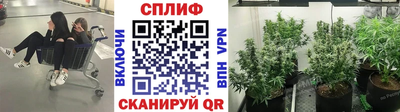 продажа наркотиков  Железноводск  Бошки Шишки White Widow 